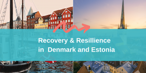 Resilience and Recovery in Denmark and Estonia
