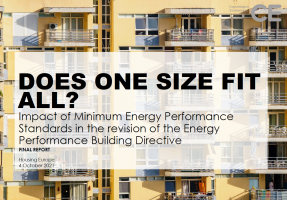 Does one size fit all? Impact of Minimum Energy Performance Standards in the revision of the Energy Performance Building Directive