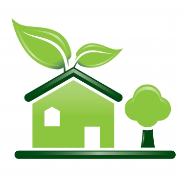 Housing and the Environmental Sustainability