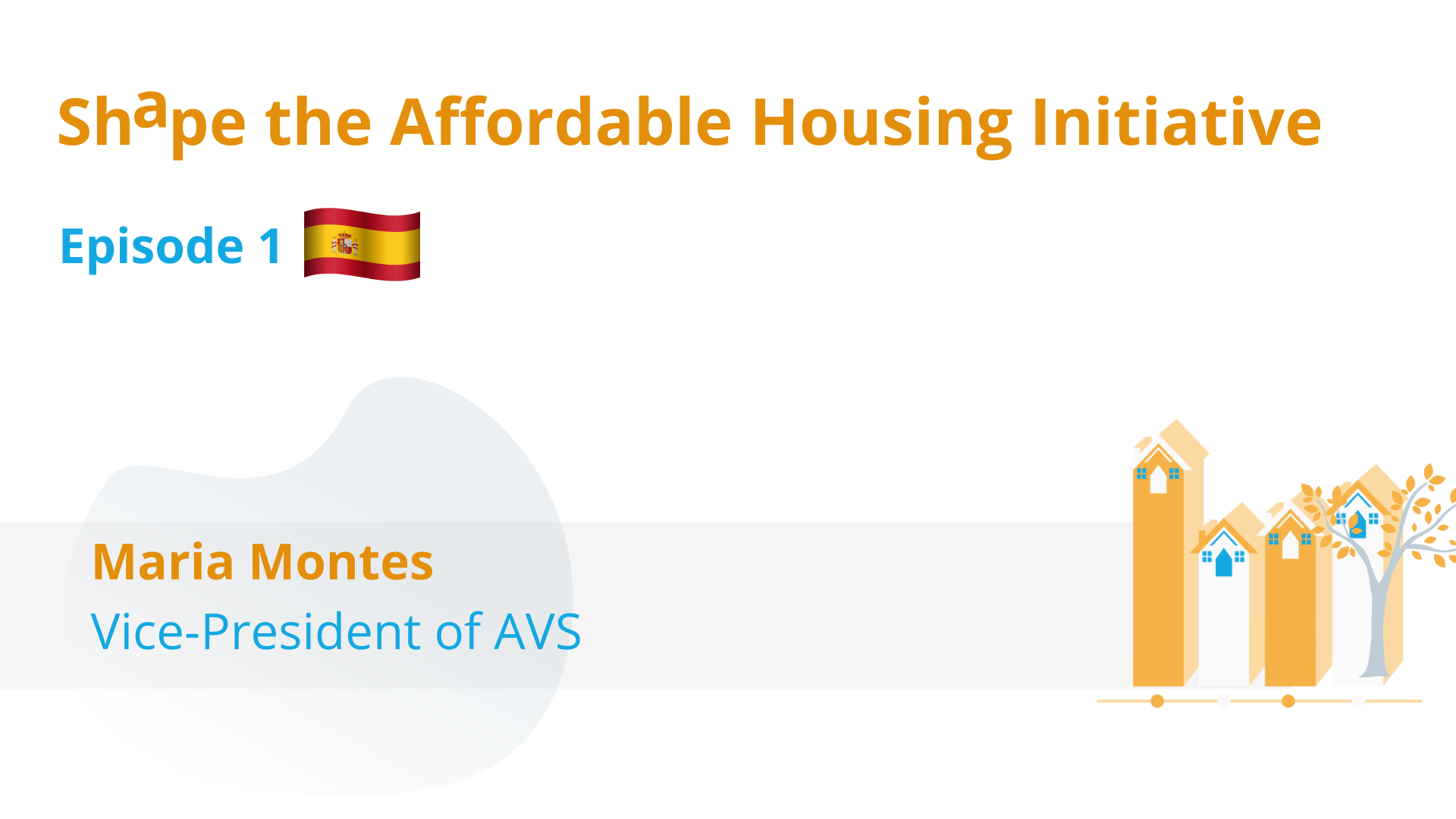 AFFORDABLE HOUSING INITIATIVE visual data 7